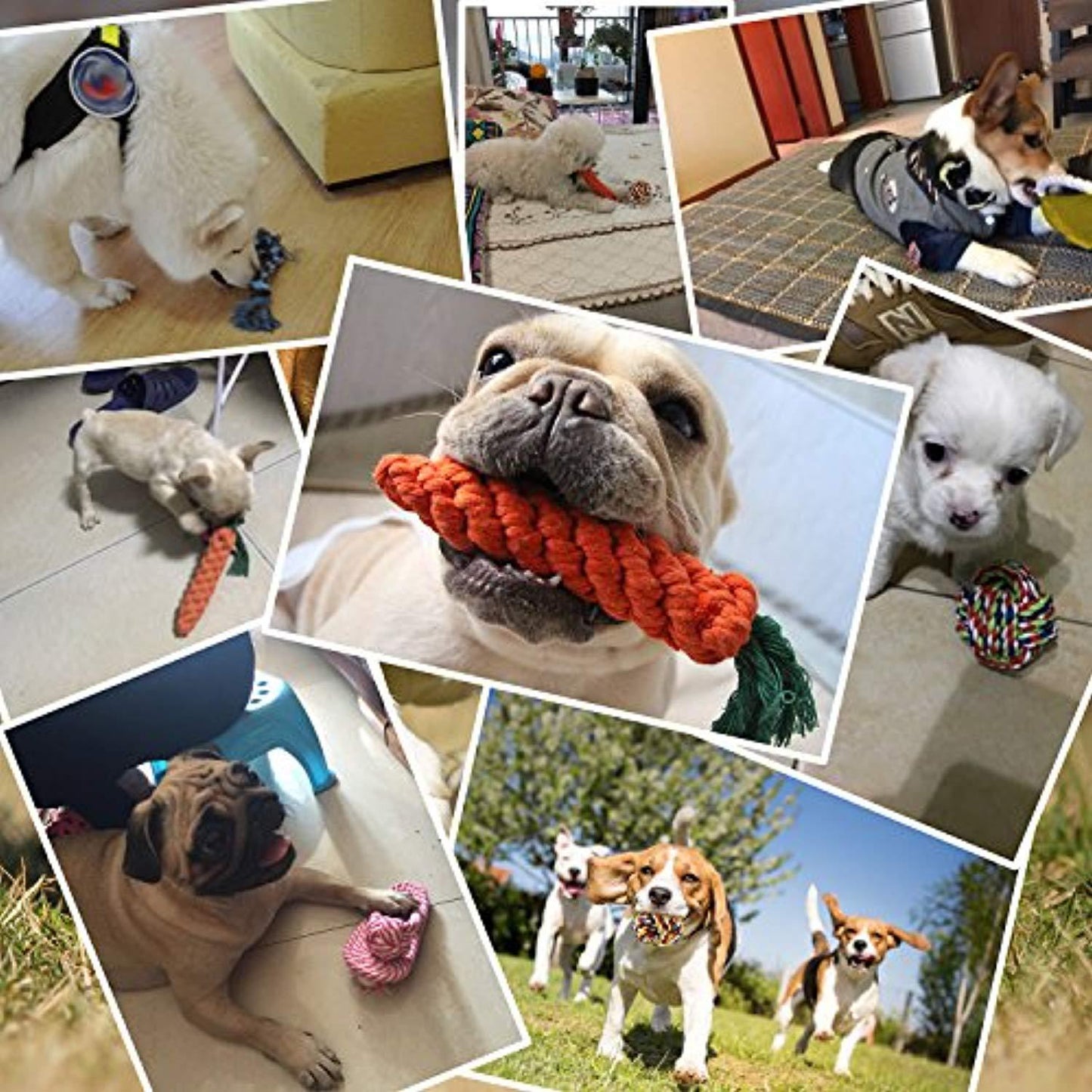 Jouets Pour Animaux De Compagnie De Différentes Tailles Pour Chiens De Petite Et Moyenne Taille (Lot De 10) Rouge - One PETS-TOP