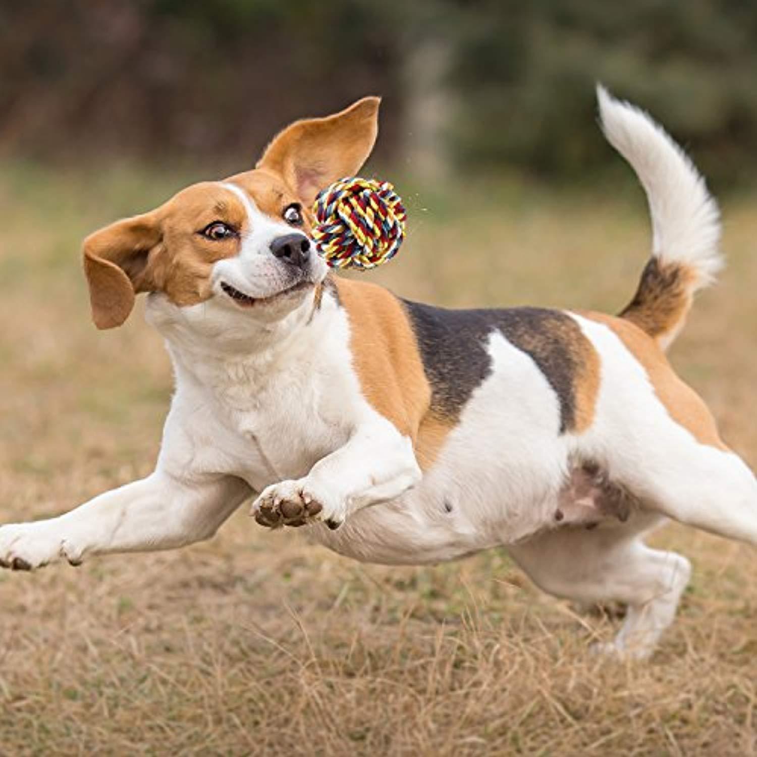 Jouets Pour Animaux De Compagnie De Différentes Tailles Pour Chiens De Petite Et Moyenne Taille (Lot De 10) Rouge - One PETS-TOP