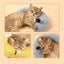 🐾 Pillow Pet – Coussin Douillet pour Chiens et Chats | Confort, Soutien & Bien - être - One PETS - TOP