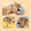 🐾 Pillow Pet – Coussin Douillet pour Chiens et Chats | Confort, Soutien & Bien-être - One PETS-TOP