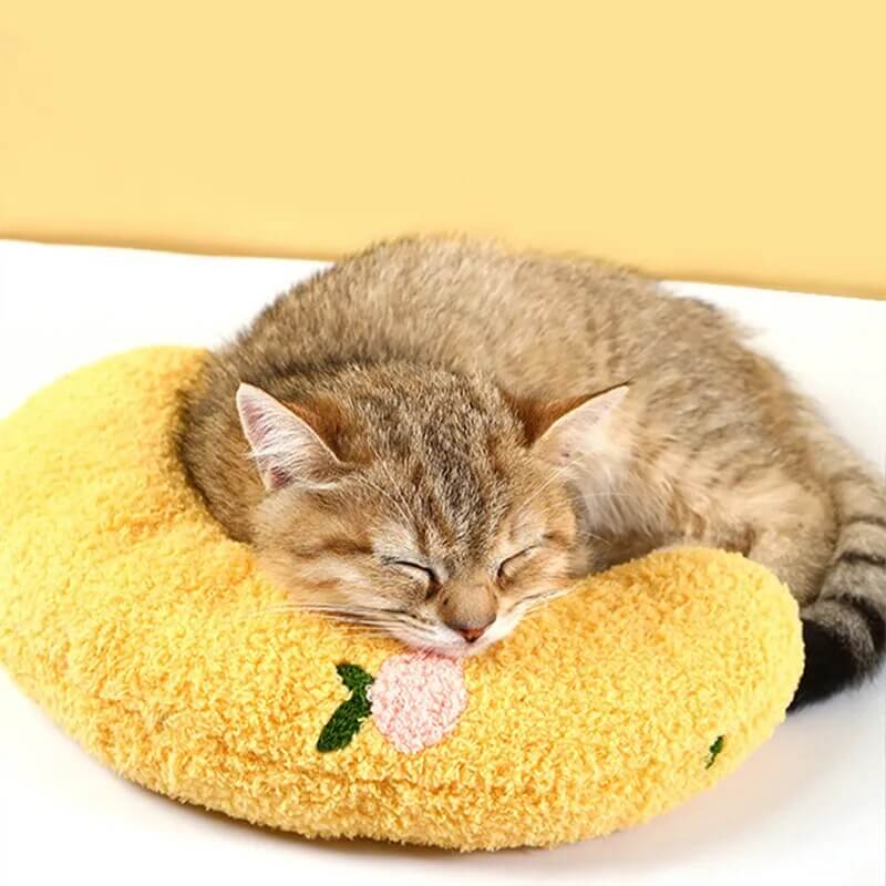 🐾 Pillow Pet – Coussin Douillet pour Chiens et Chats | Confort, Soutien & Bien-être - One PETS-TOP