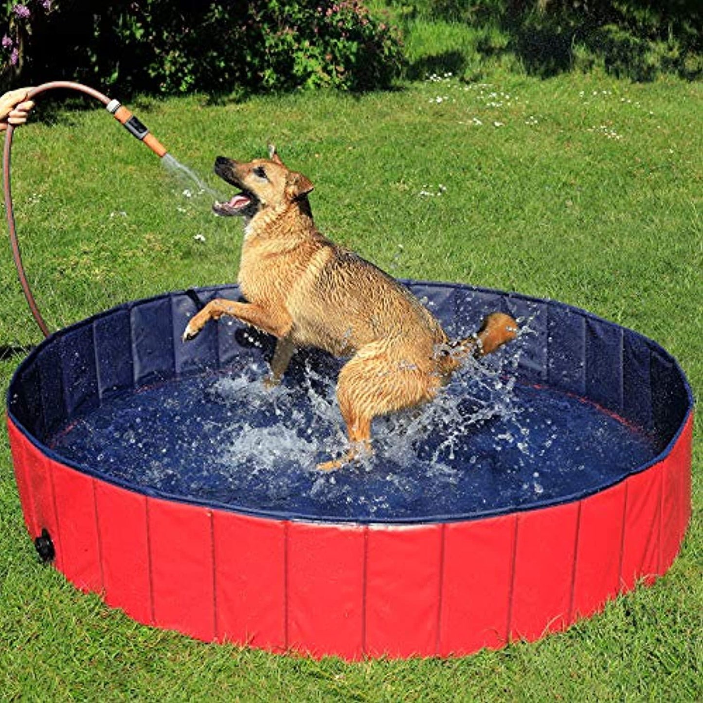 Piscine Pliable En Pvc Pour Chien 80 Cm - One PETS - TOP