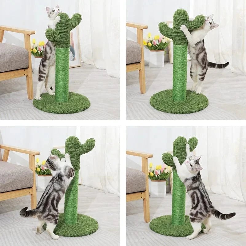Poteau à griffer cactus pour chat – Sisal naturel & jouet interactif - One PETS - TOP