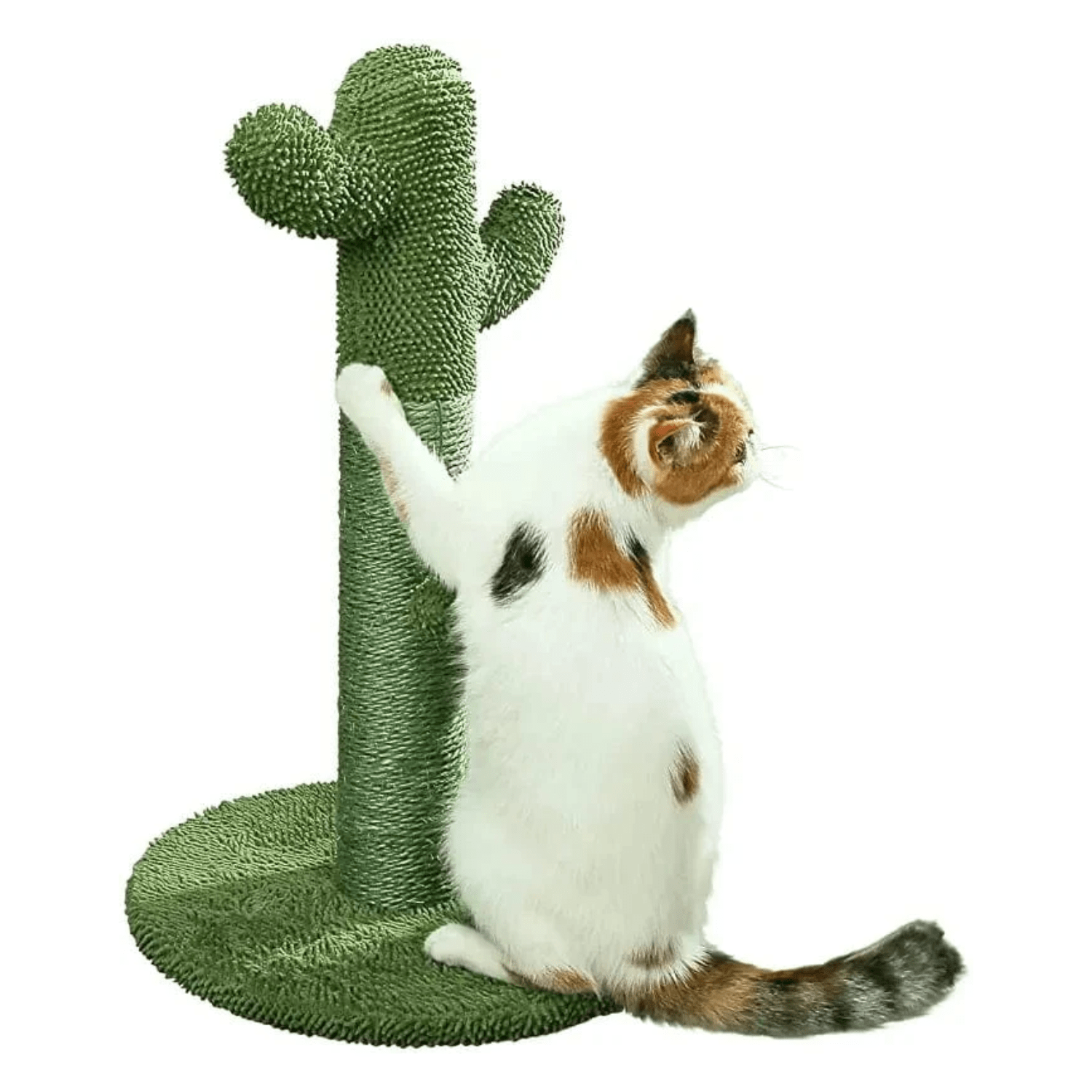 Poteau à griffer cactus pour chat – Sisal naturel & jouet interactif 40*40*65cm / Vert Cactus One PETS-TOP