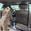 Protection En Filet Filet Barriere De Securite De Voiture Pour Animal De Compagnie, Séparation Auto Pour Chien Chat Filet, Fixer Aux Sièges Pour Bloquer - One PETS - TOP
