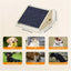Rampe en bois pour chien – Portable, antidérapante et sûre pour escaliers - One PETS - TOP