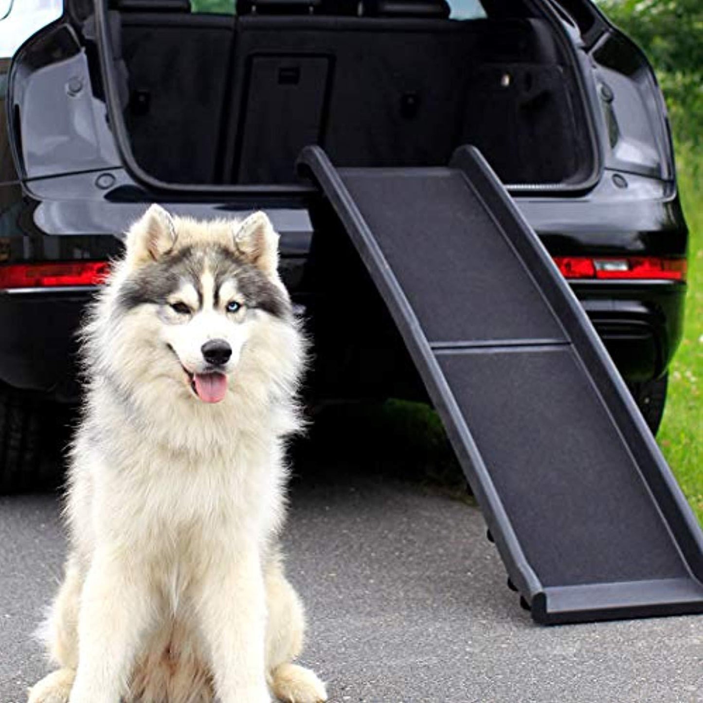 Rampe Pliable En Plastique Pour Chien Noir 156 X 40 Cm - One PETS - TOP