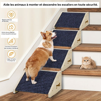 Rampe en bois pour chien portable antiderapante - image 1