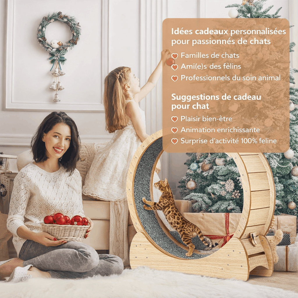 Roue d’exercice XL pour chat – Bois naturel, silencieuse & stable - One PETS - TOP