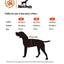 Sac à dos réglable pour chien avec sacoches - One PETS-TOP – en situation