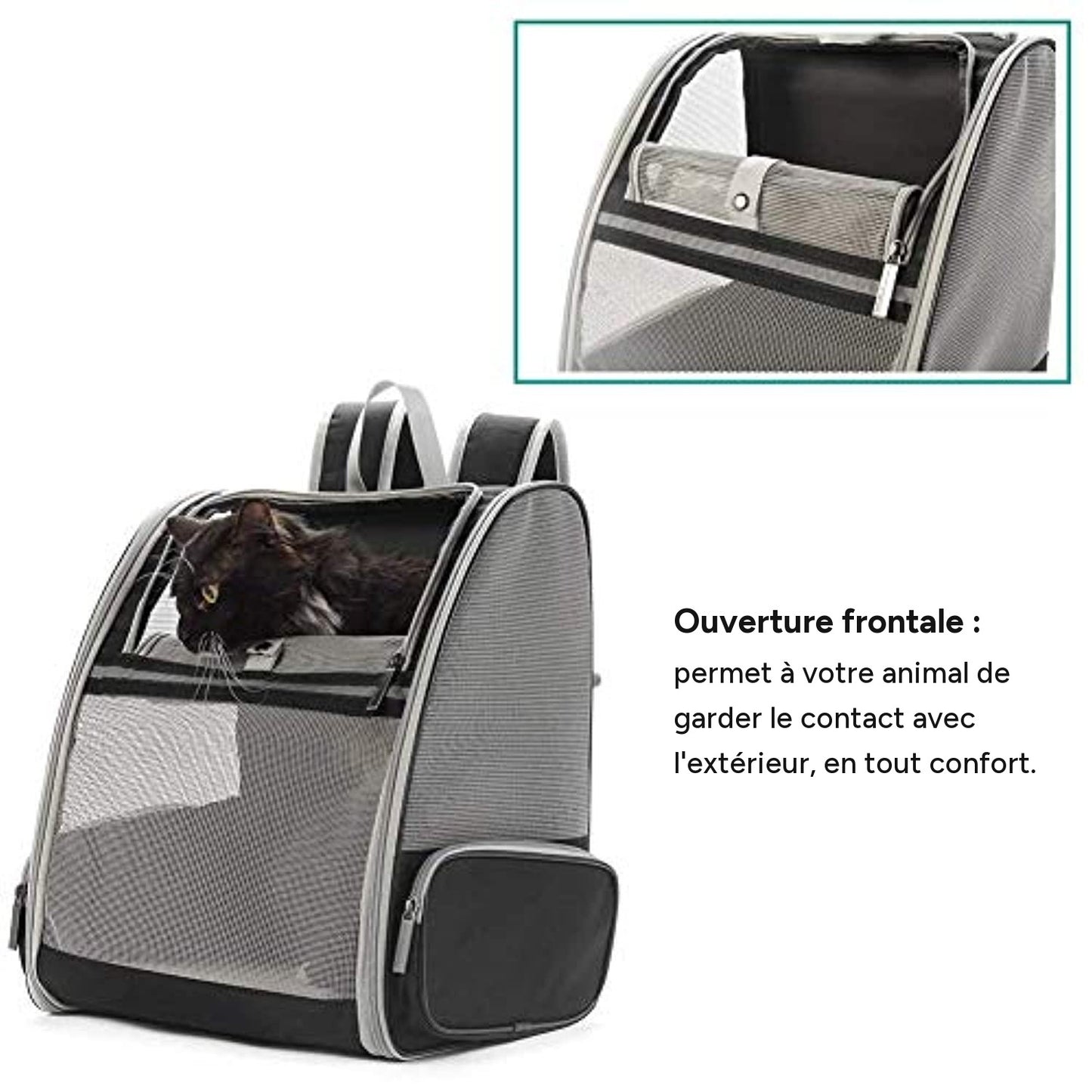 Sac de transport chiens et chats, sac à dos en maille