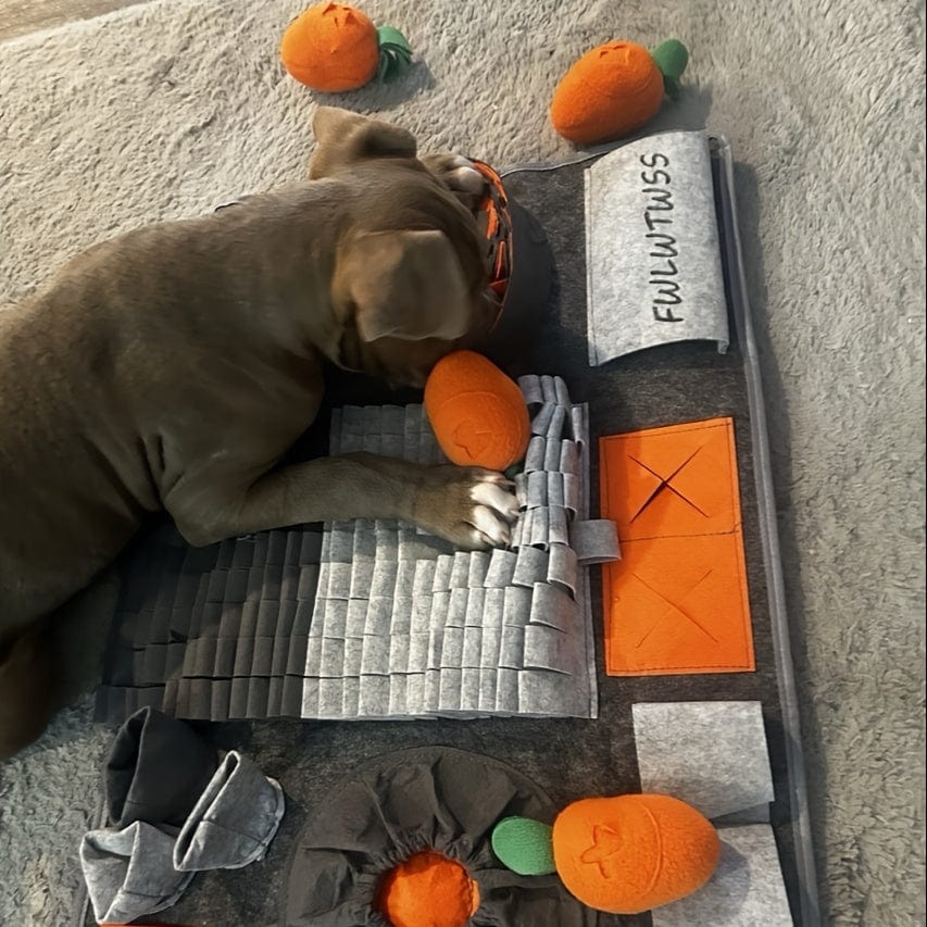 Tapis de fouille interactif XXL pour chien – Dressage, jeu & récompenses Orange One PETS-TOP