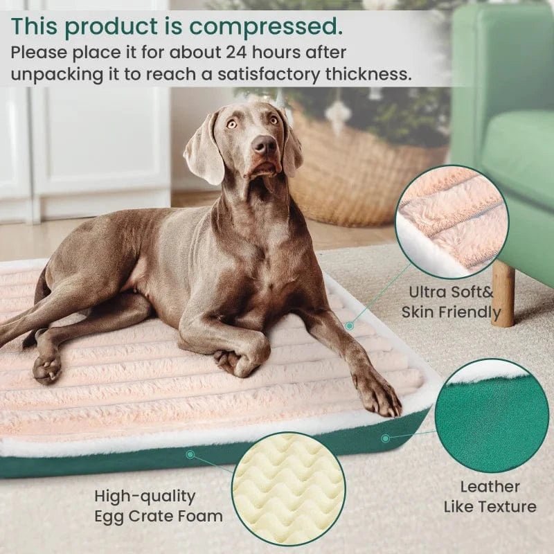 Tapis de lit pour chien & chat – Coussin amovible, lavable & confortable - One PETS - TOP
