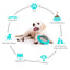 Balle Magique Iq+ Pour Chiens: Alimentation & Divertissement! - One PETS - TOP