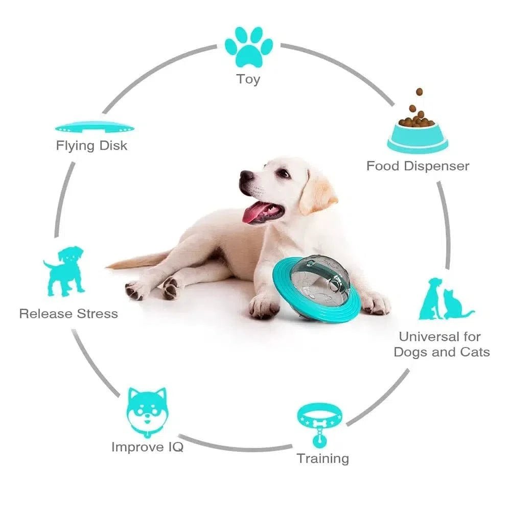 Balle Magique Iq+ Pour Chiens: Alimentation & Divertissement! - One PETS - TOP