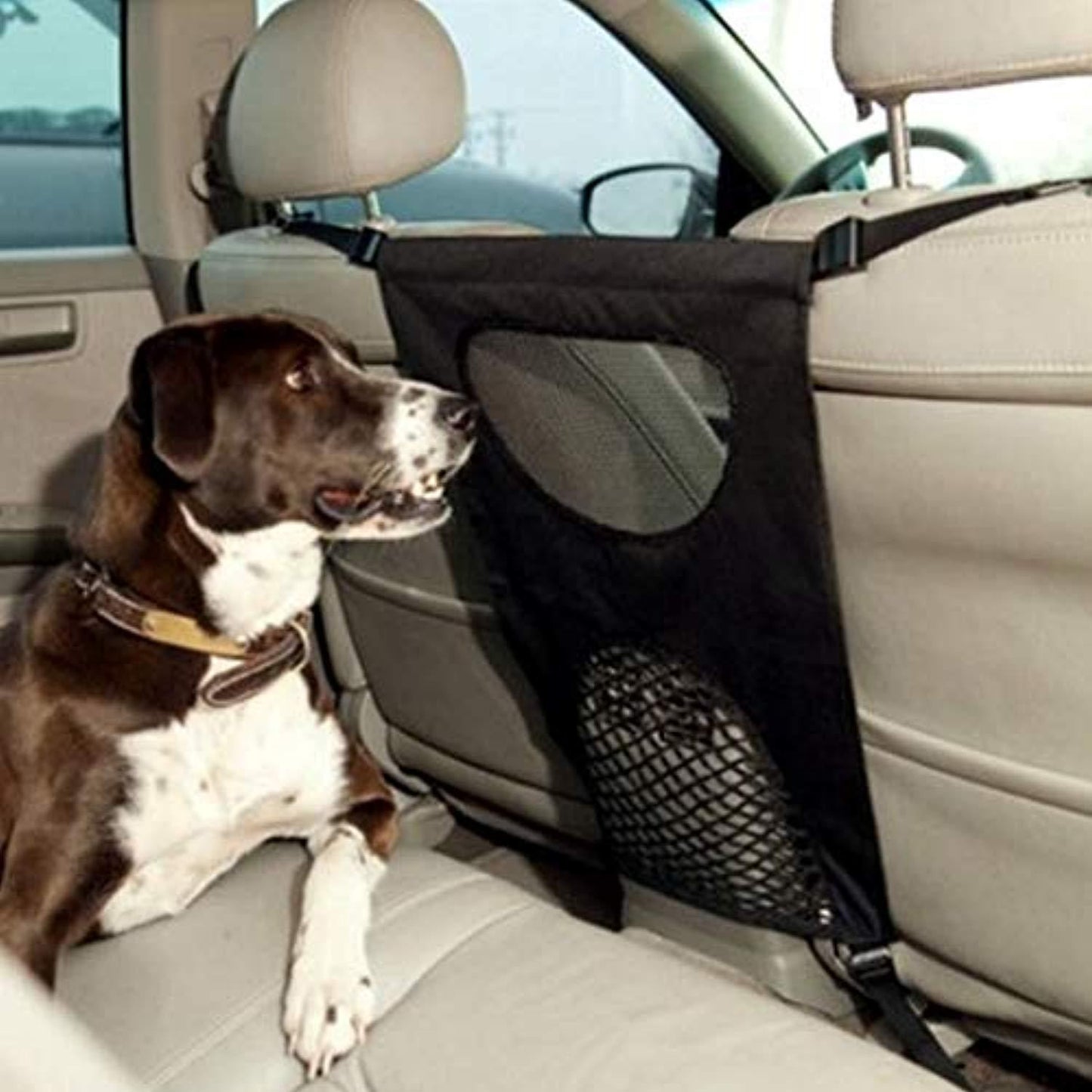 Barrière Magique Pour Animaux De Compagnie - One PETS - TOP