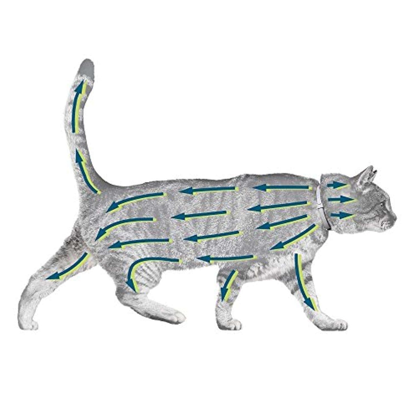 Chat – Collier Anti - Puces Et Anti - Tiques Pour Chats - One PETS - TOP