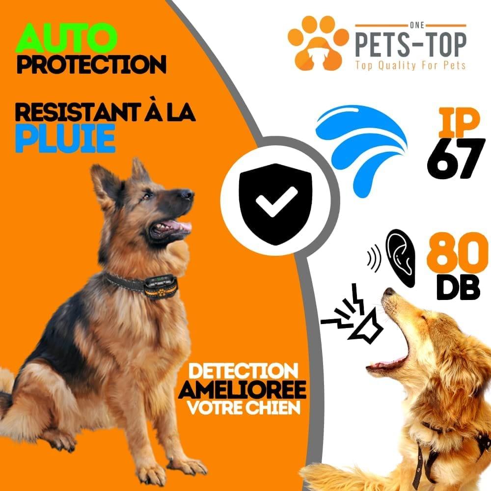 Collier Anti Aboiement Chien Smart - One PETS - TOP