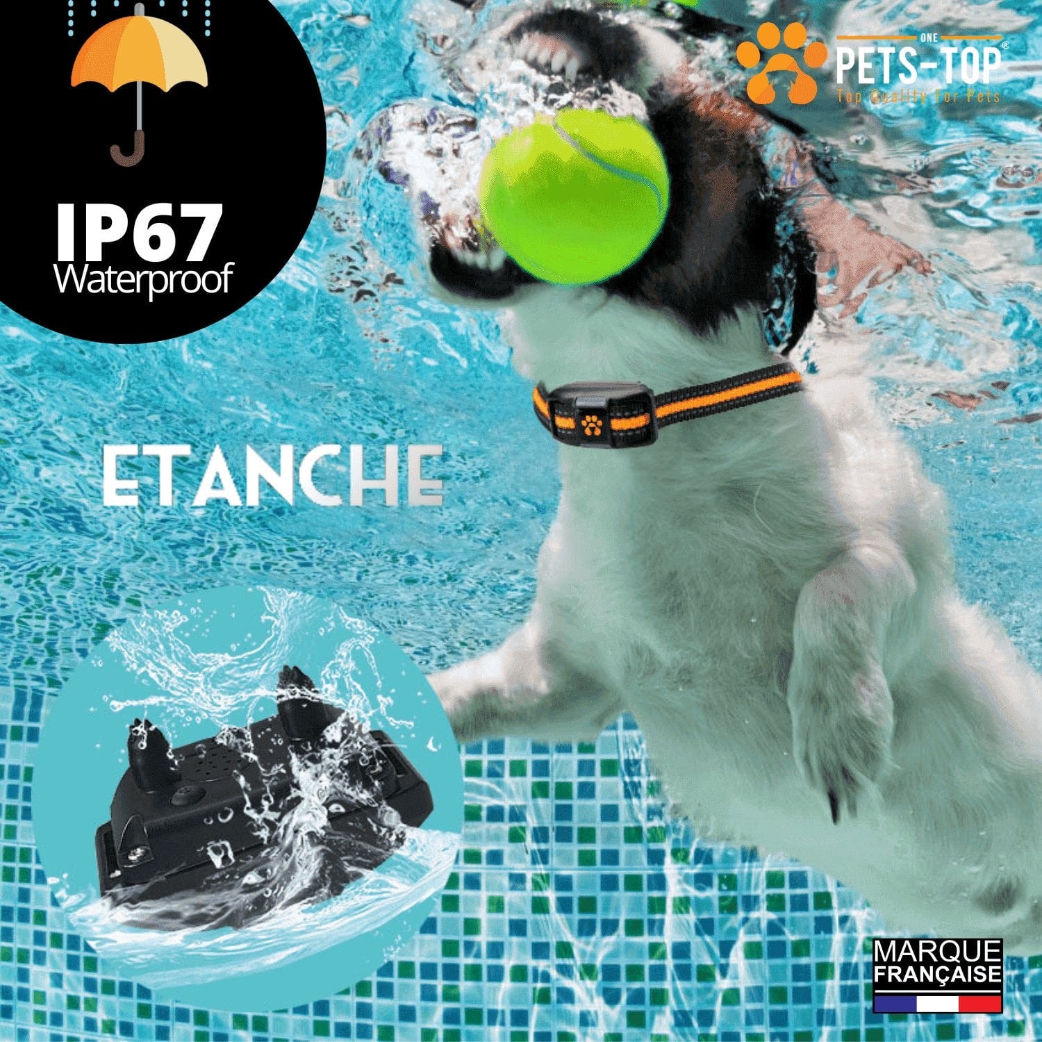 Collier Dressage Chien One PETS-TOP