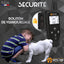 Collier Dressage Chien One PETS-TOP