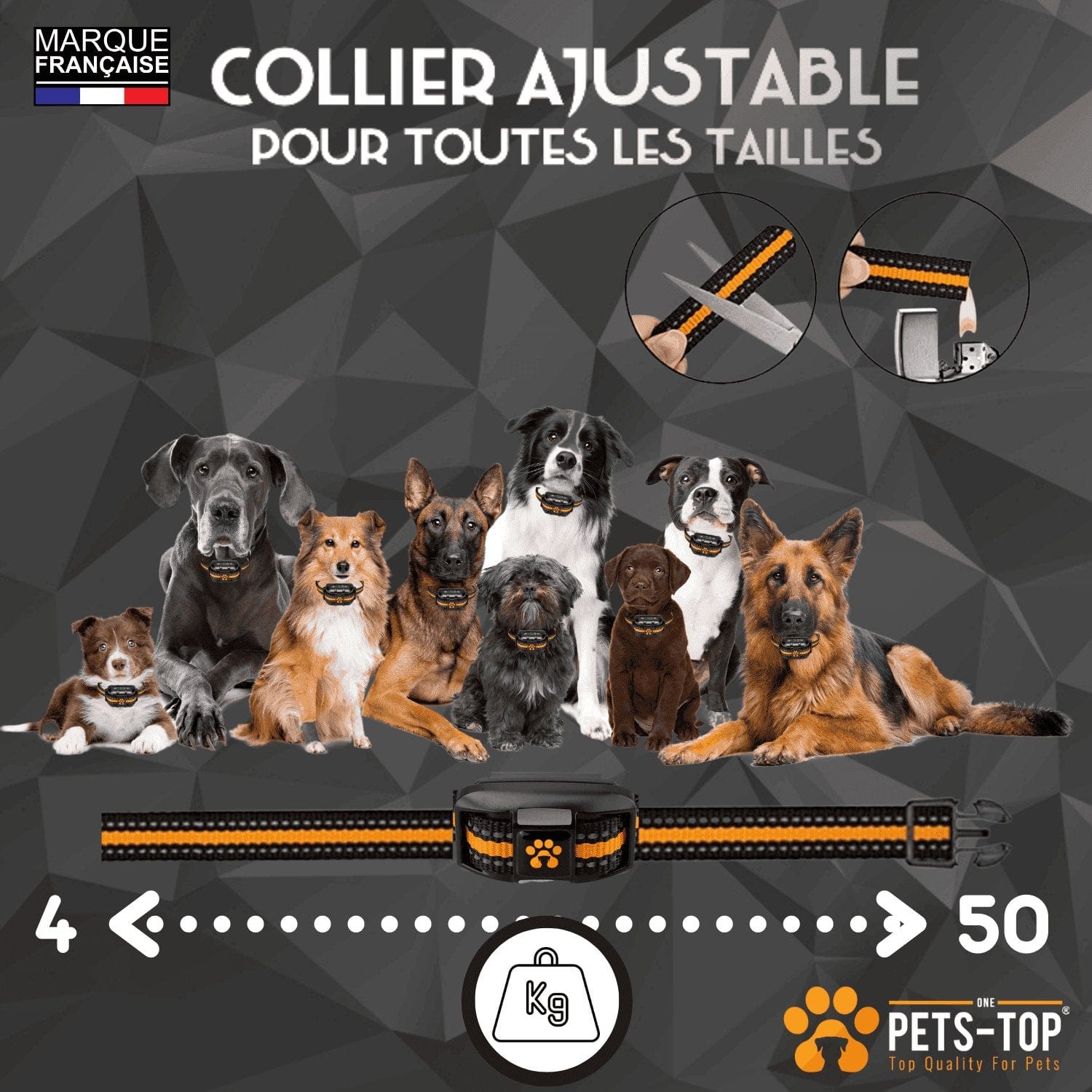 Collier Dressage Chien One PETS-TOP