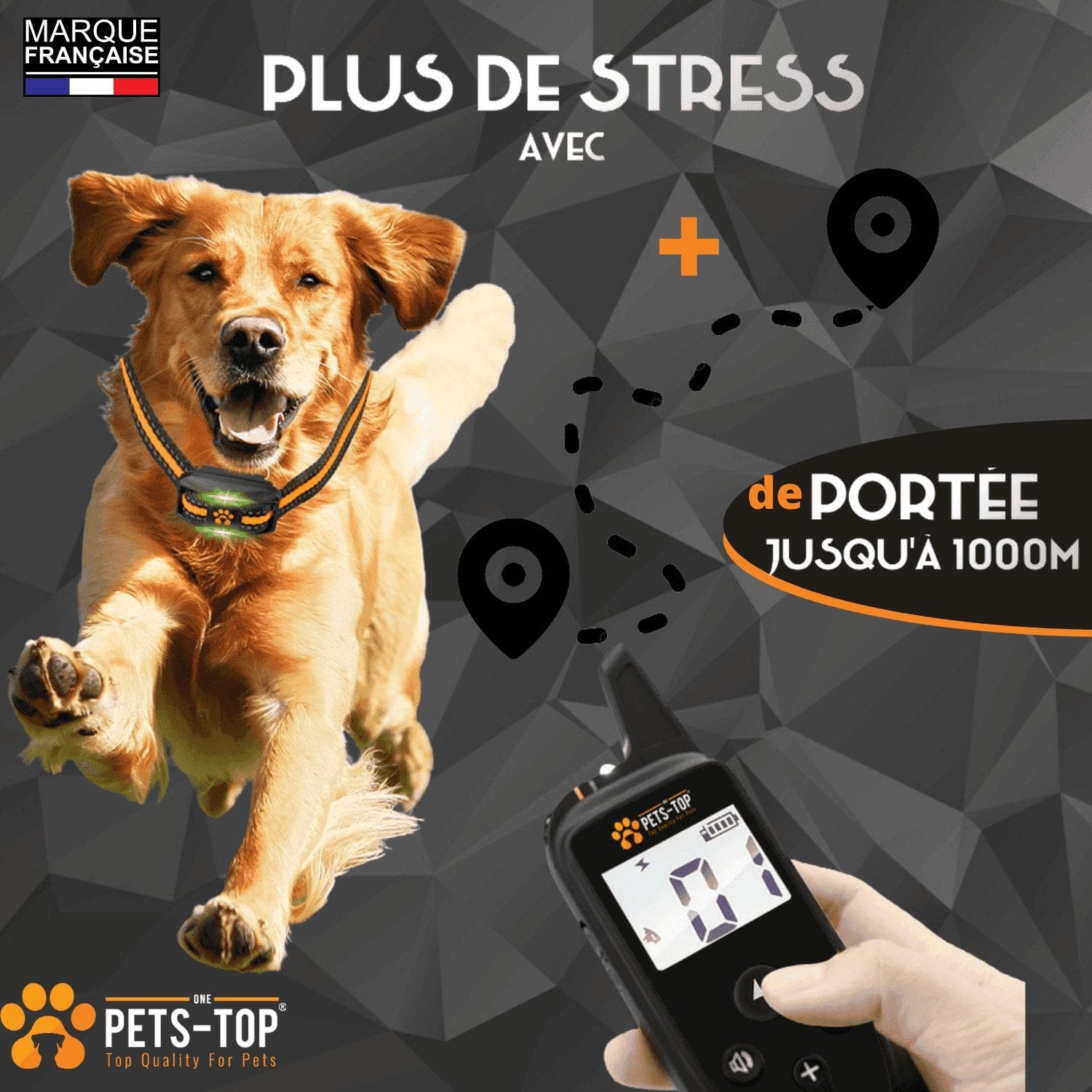 Collier Dressage Chien One PETS-TOP