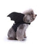 Costume Halloween Canin : Batsuit & Citrouille🎃 - One PETS - TOP