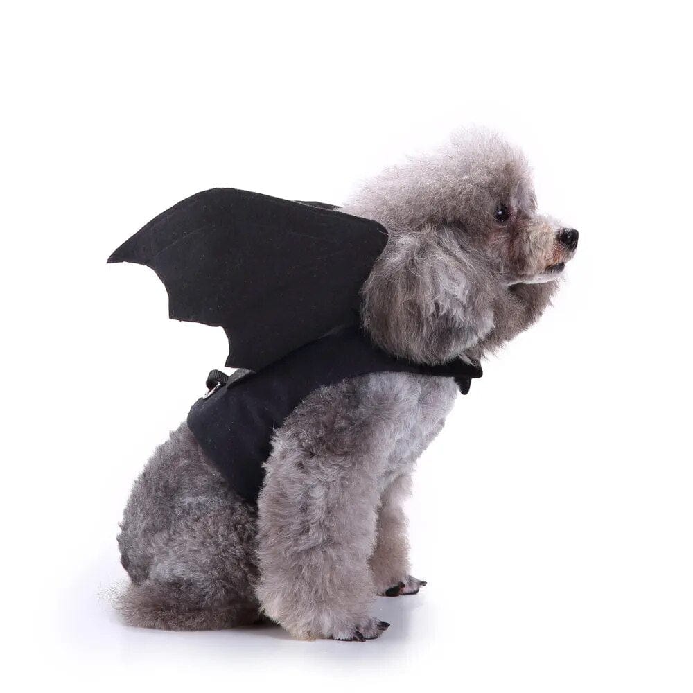 Costume Halloween Canin : Batsuit & Citrouille🎃 - One PETS - TOP