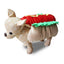 Costume Halloween Canin : Batsuit & Citrouille🎃 - One PETS - TOP