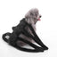 Costume Halloween Canin : Batsuit & Citrouille🎃 - One PETS - TOP