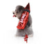 Costume Halloween Canin : Batsuit & Citrouille🎃 - One PETS - TOP