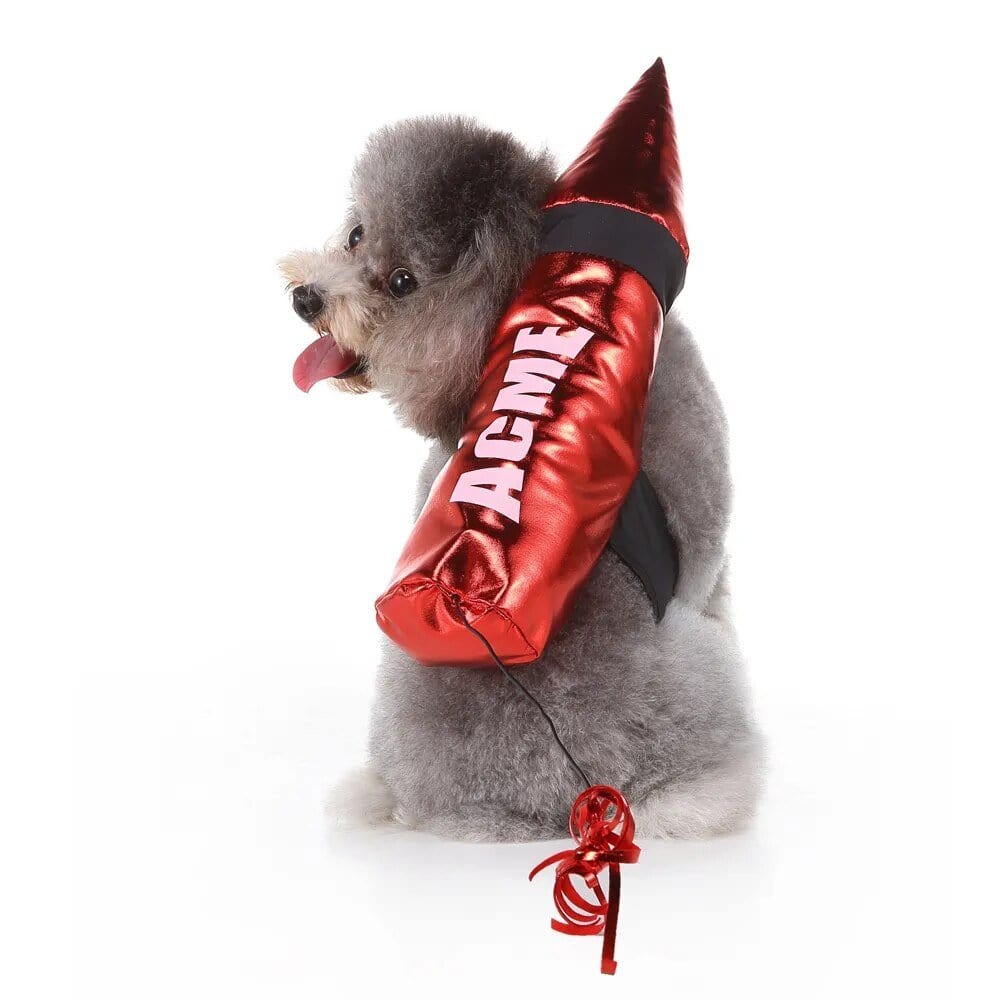 Costume Halloween Canin : Batsuit & Citrouille🎃 - One PETS - TOP