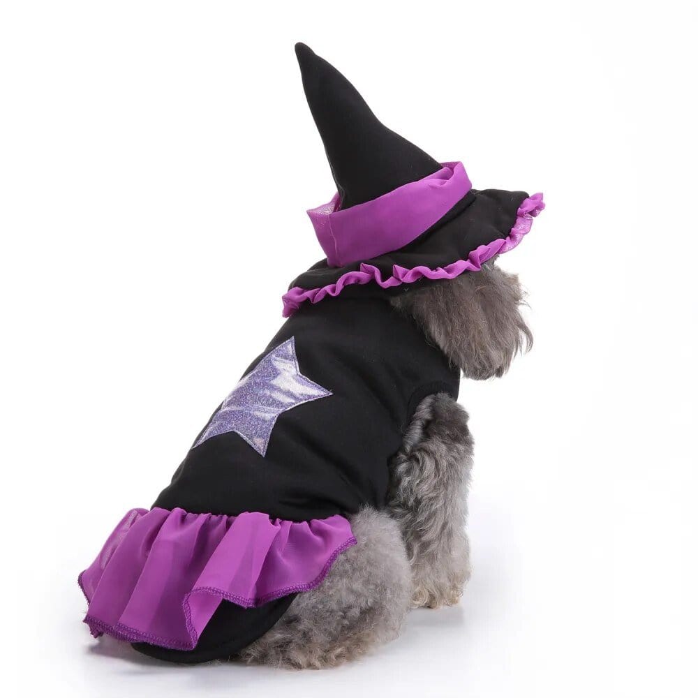 Costume Halloween Canin : Batsuit & Citrouille🎃 Wizard suit / S One PETS-TOP