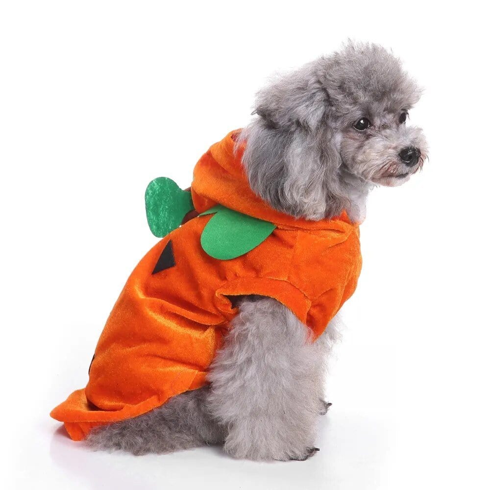 Costume Halloween Canin : Batsuit & Citrouille🎃 Pumpkin / S One PETS-TOP