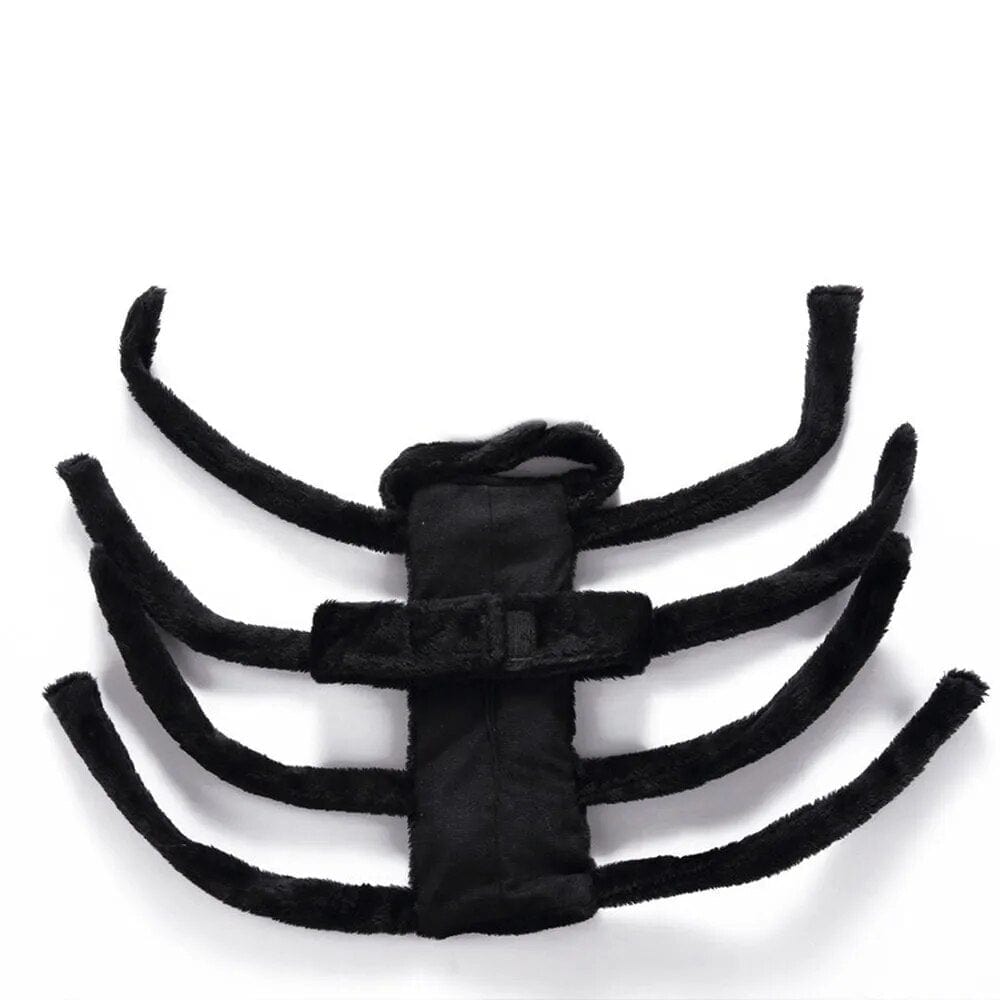 Costume Halloween Canin : Batsuit & Citrouille🎃 One PETS-TOP