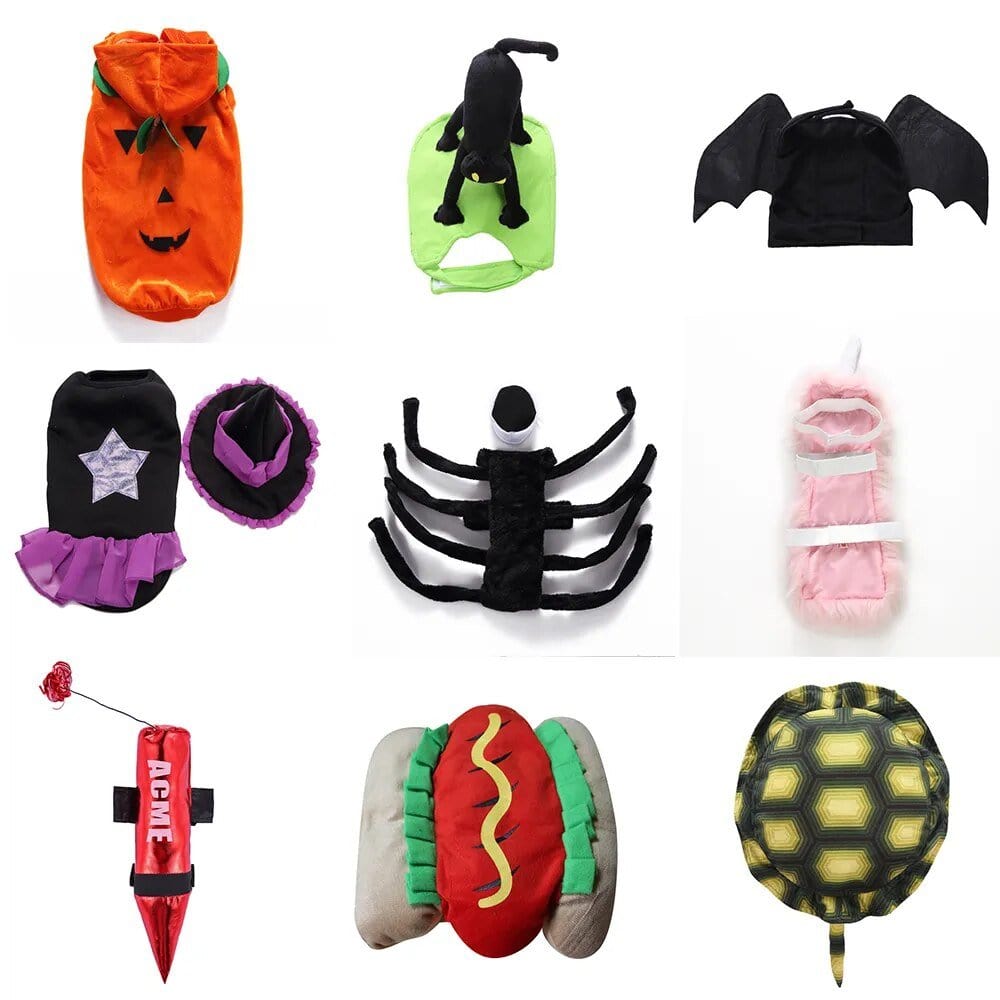 Costume Halloween Canin : Batsuit & Citrouille🎃 One PETS-TOP