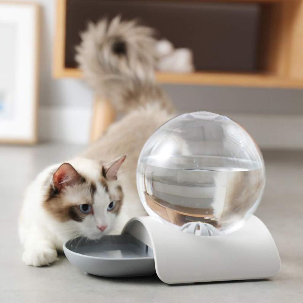 Fontaine Automatique Bubble® Chat & Chien - One PETS - TOP