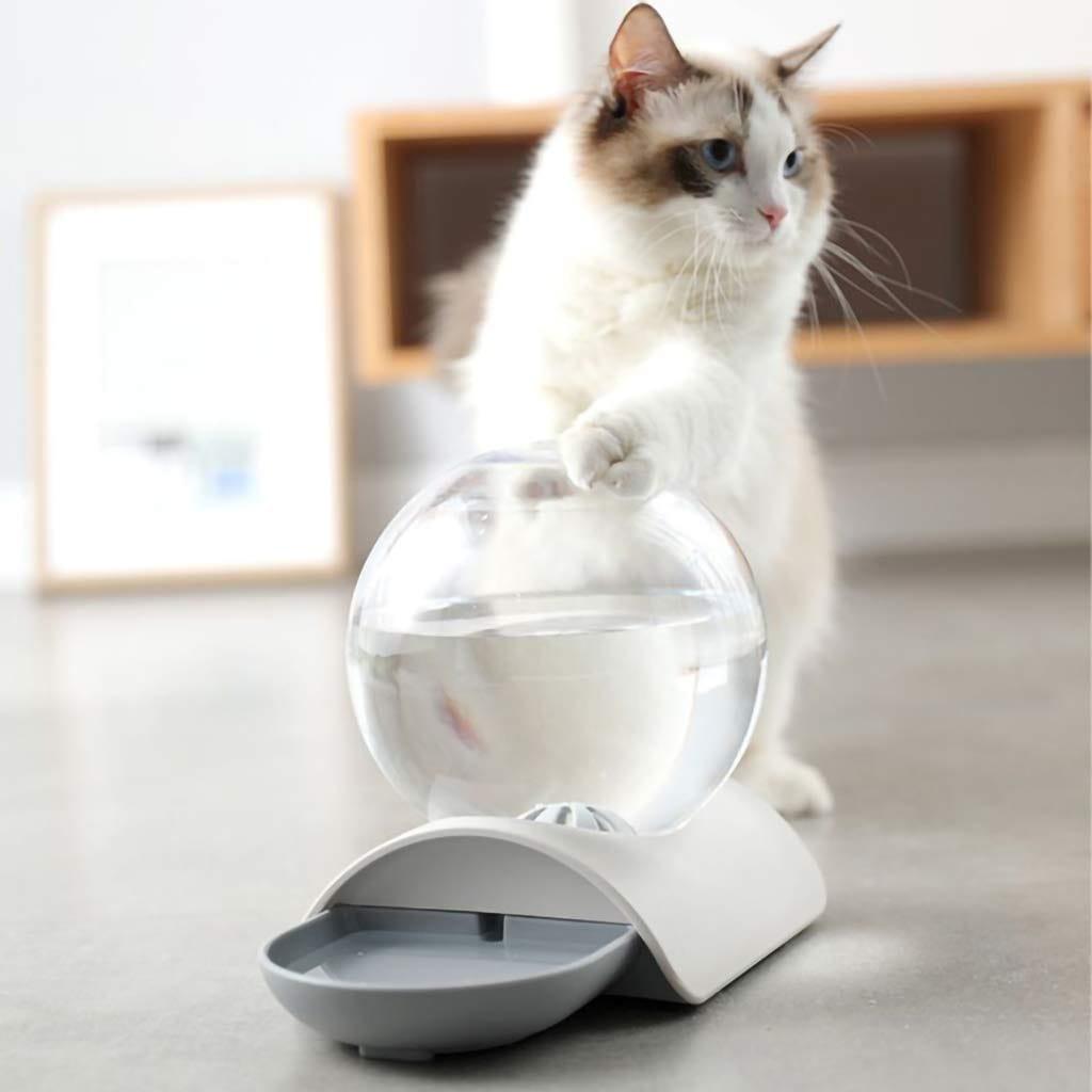 Fontaine Automatique Bubble® Chat & Chien - One PETS - TOP