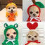 Froggiewarm: Pull Capuche Grenouille Pour Chiens 🐸🐶 - One PETS - TOP