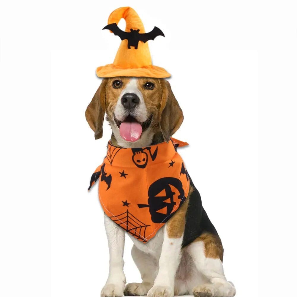 Kit Halloween Chien: Chapeaux & Foulards Fantaisie bat hat One PETS-TOP