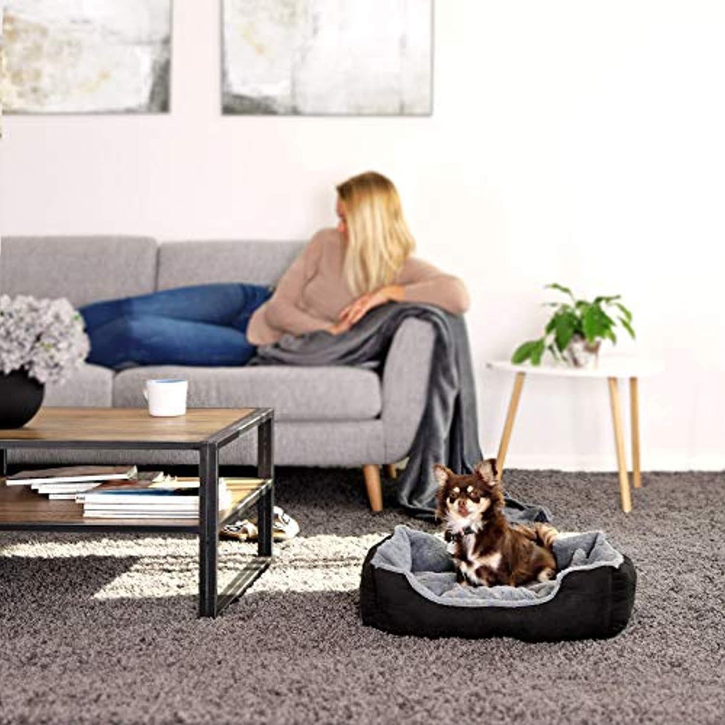 Lit Chien Coussin Chien Panier Chien Avec Coussin Taille S Gris/Noir - One PETS - TOP
