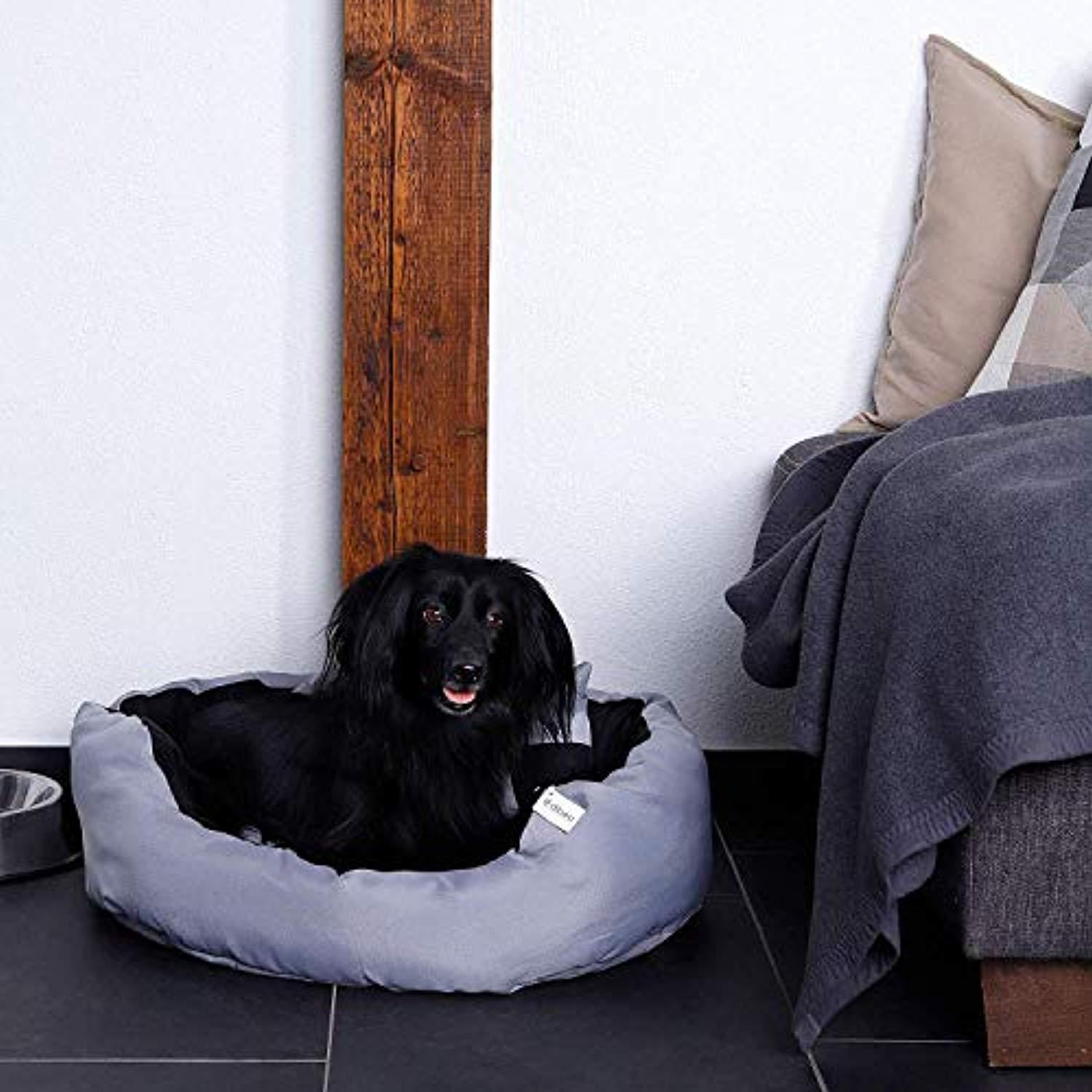 Lit/Canapé Lavable Avec Coussin Réversible Pour Chien - Gris/Noir - 65 X 50 X 20 Cm - One PETS - TOP