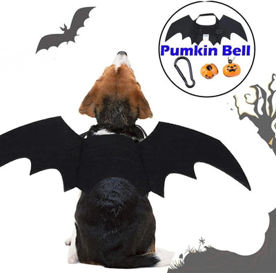 Ailes De Chauve-Souris Canines : Bell-O-Ween 🎃 - One PETS-TOP