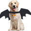 Ailes De Chauve-Souris Canines : Bell-O-Ween 🎃 - One PETS-TOP