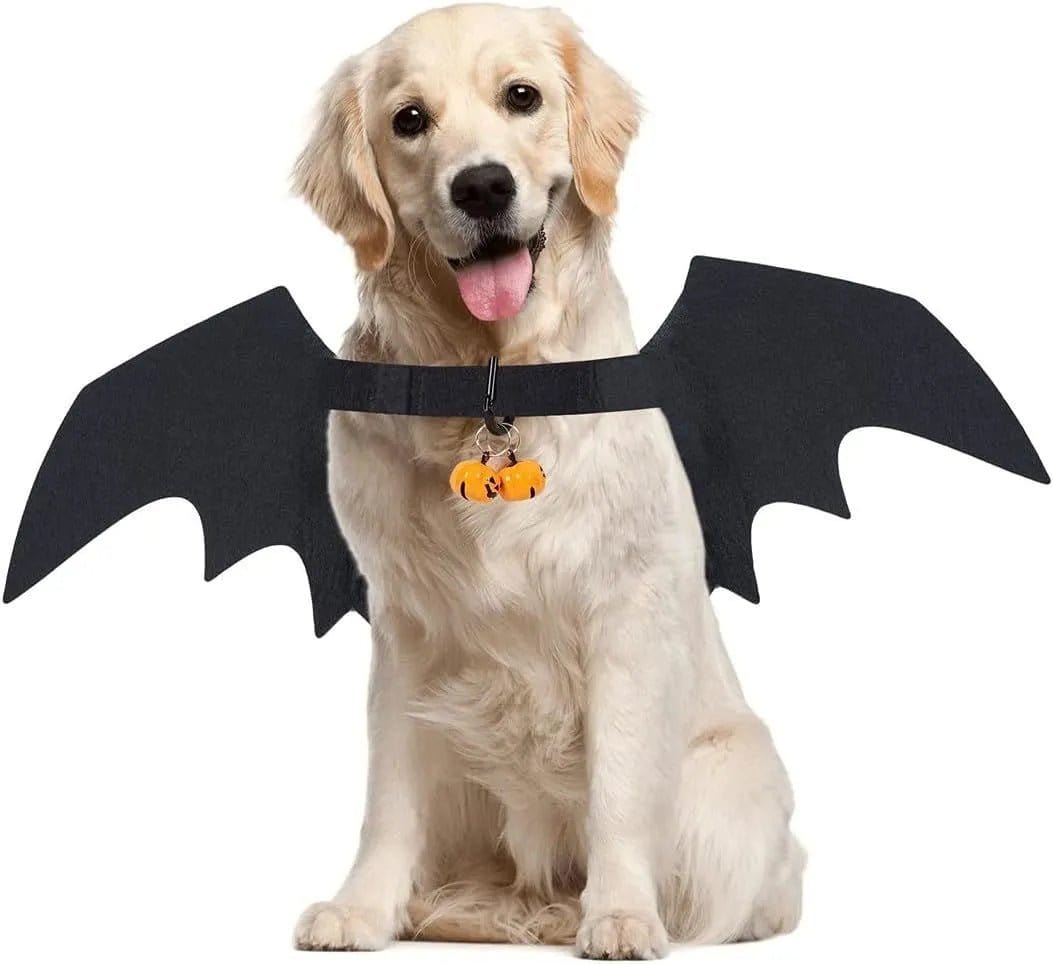 Ailes De Chauve-Souris Canines : Bell-O-Ween 🎃 - One PETS-TOP