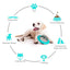 Balle Magique Iq+ Pour Chiens: Alimentation & Divertissement! - One PETS-TOP