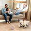 Chewtech Sphere : La Révolution Du Jeu Pour Chiens - One PETS-TOP