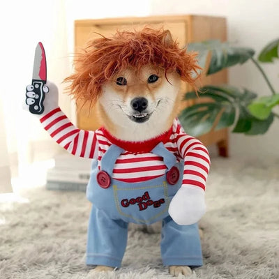 Costume Festif Canin : Tenue De Célébration 🐾 - One PETS-TOP