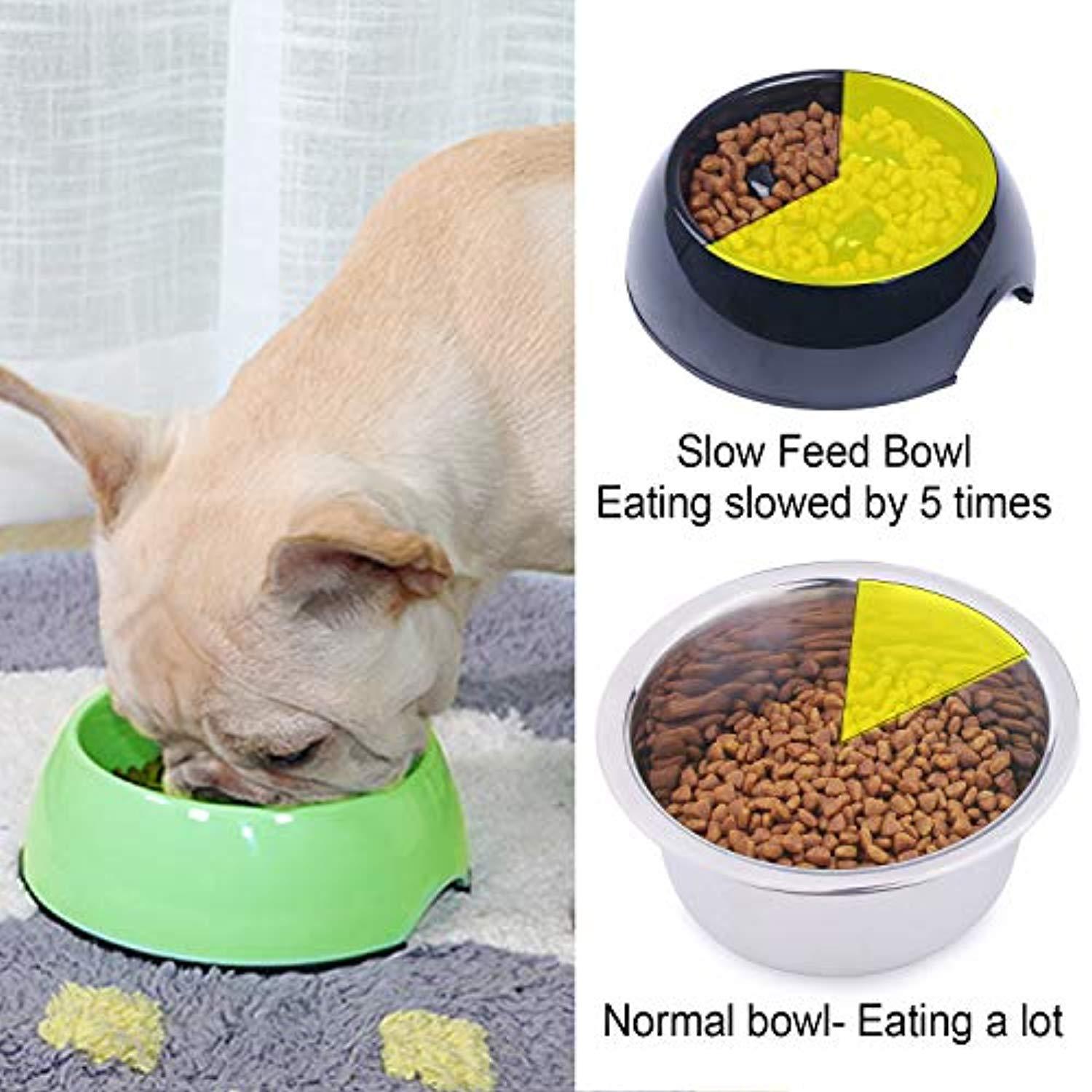 Digestidélice" - La Gamelle Anti-Glouton Pour Vos Compagnons À Quatre Pattes - One PETS-TOP