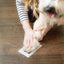 Empreinte Chien Encre Facile Easy Dogprint - One PETS-TOP
